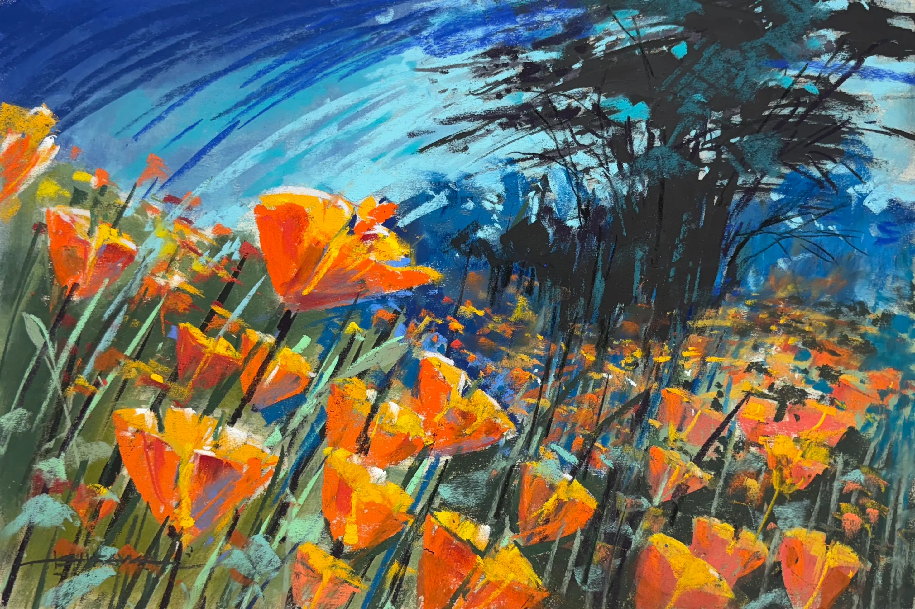 These California poppies were blooming in an Oregon parking lot